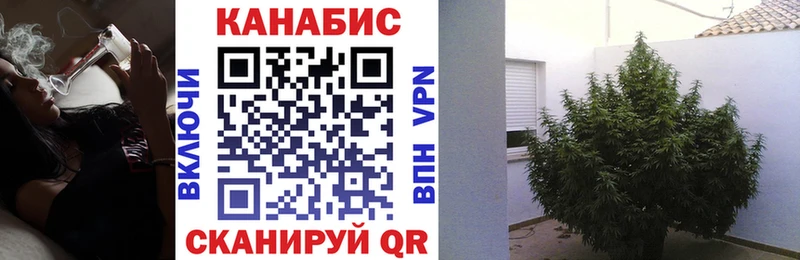 где купить наркоту  Малмыж  Бошки марихуана семена 